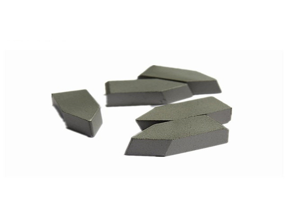 China Anti Corrosive Solid Tungsten Carbide Tip High Durability Medium Particle supplier