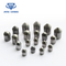 Tc Radial Bearing Cemented Carbide Conical Bits Wear Resisting Long Lifetime Customizes supplier