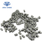 Tungsten Carbide Yg6x/K10 5.5*1.6*2.6mm Carbide Tips / Tungsten Carbide Tips supplier