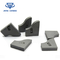 Grade YG6 Blank Brazed Tungsten Carbide Tip , Sintering Brazed Tips supplier