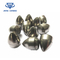 Coated YG8 Tungsten Carbide Drilling Buttons For Drill Mining Tools supplier