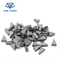 Cutting Tool Gauge Protection Saw , Tungsten Carbide Shield Cutter Tips Tunnel Boring supplier