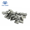 Quick Shipping YG8 Cemented Tungsten Carbide Saw Tips For Woodworking supplier